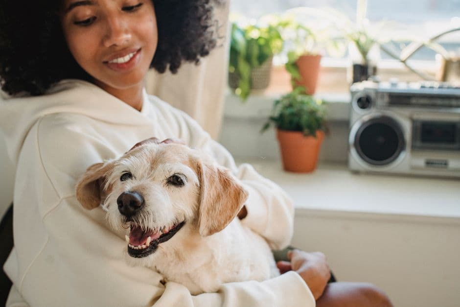 Tutora sorrindo com o cão no colo, em casa